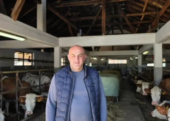 Kupujmo domaće: Porodica Džanić pokrenula proizvodnju sira