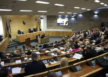 Predstavnički dom Parlamenta Federacije BiH prihvatio prijedlog izmjena Zakona o Južnoj interkonekciji