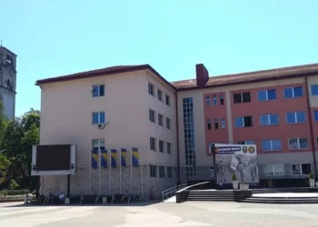 Određen pritvor Osmankiću i Ćerimoviću uhapšenim u akciji “Test”