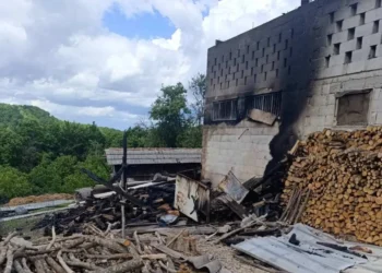Nakon požara u kojem je stradalo 30 ovaca, Vatrogasna jedinica uputila apel
