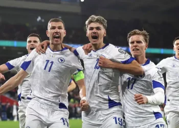 Sergej Barbarez objavio spisak igrača koji idu na Svjetsko prvenstvo