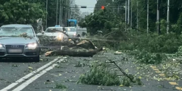 Zagreb: Nevrijeme uzrokovalo brojne probleme širom grada