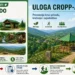 Tim za borbu protiv ovisnosti i CROPP najavljuju događaj „Šetnjom do zdravlja – Stazama vremena Kudići“