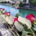 Na Bikavcu u Višegradu danas obilježavanje 34. godišnjice zločina
