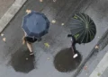 Vremenska prognoza do 16. jula: Bit će i temperatura do 35 stepeni, ali i mnogo kiše